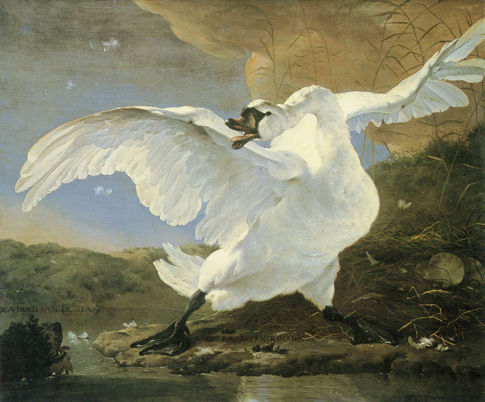 Jan Asselijn - The threatened swan